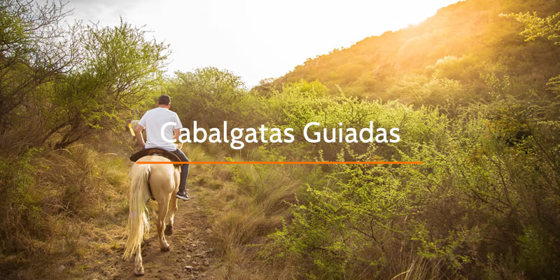 Cabalgatas Guiadas