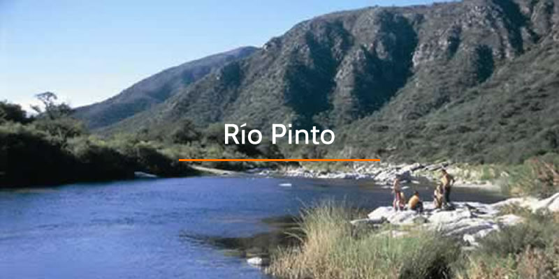 Ro Pinto